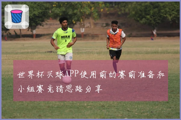 世界杯买球APP使用前的赛前准备和小组赛竞猜思路分享