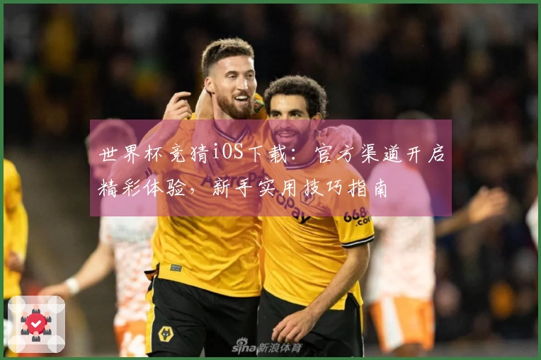 世界杯竞猜iOS下载：官方渠道开启精彩体验，新手实用技巧指南