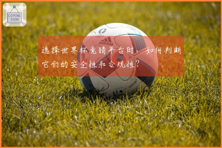 选择世界杯竞猜平台时，如何判断它们的安全性和合规性？