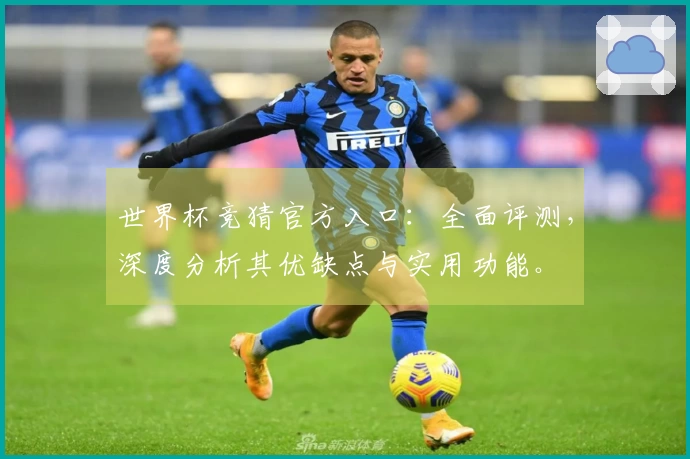 世界杯竞猜官方入口：全面评测，深度分析其优缺点与实用功能。