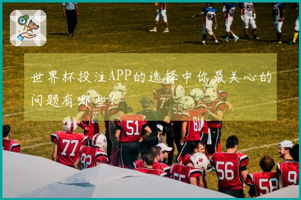 世界杯投注APP的选择中你最关心的问题有哪些？
