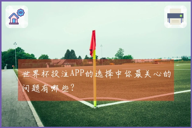 世界杯投注APP的选择中你最关心的问题有哪些？