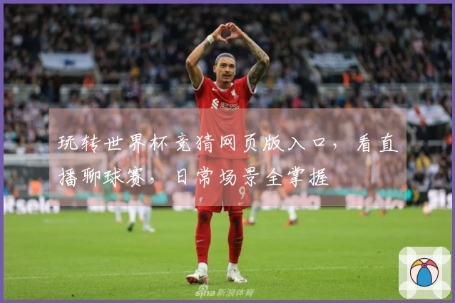 玩转世界杯竞猜网页版入口，看直播聊球赛，日常场景全掌握
