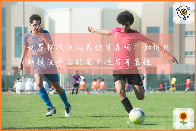 世界杯投注站真的可靠吗？如何判断投注平台的安全性与可靠性