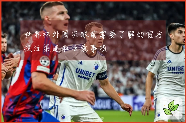 世界杯外围买球前需要了解的官方投注渠道和注意事项