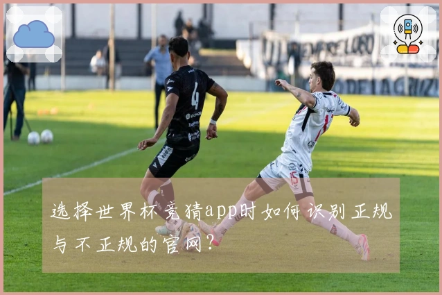 选择世界杯竞猜app时如何识别正规与不正规的官网？