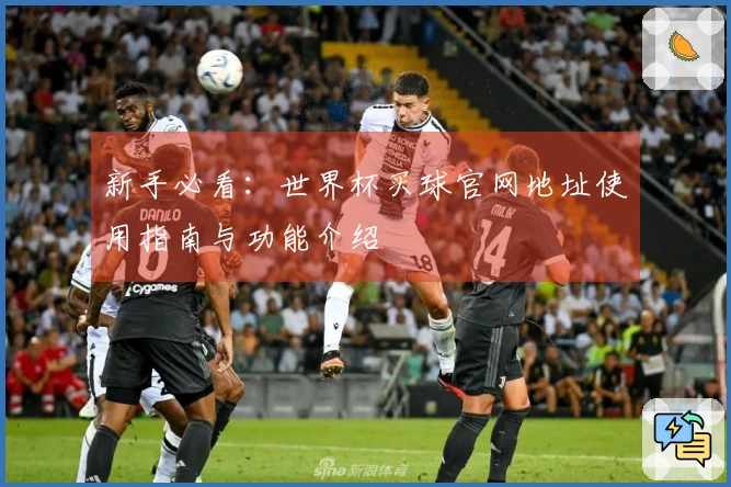 新手必看:世界杯买球官网地址使用指南与功能介绍