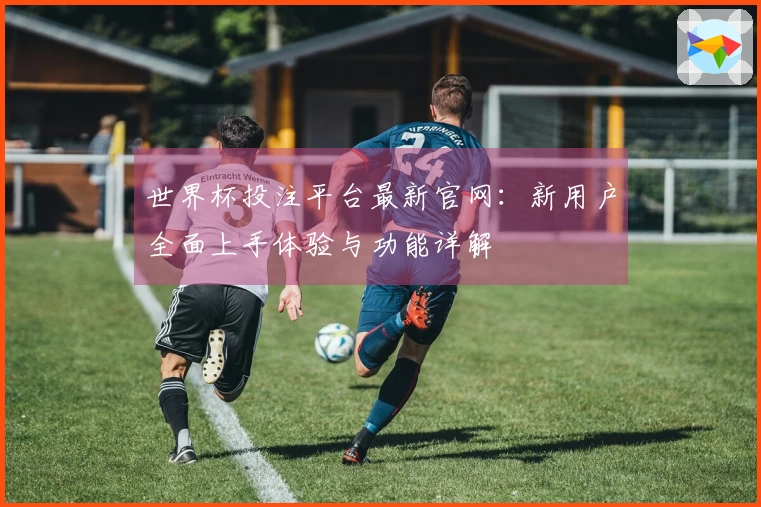 世界杯投注平台最新官网：新用户全面上手体验与功能详解