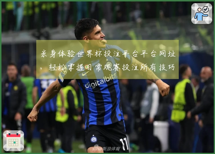 亲身体验世界杯投注平台平台网址，轻松掌握日常观赛投注所有技巧