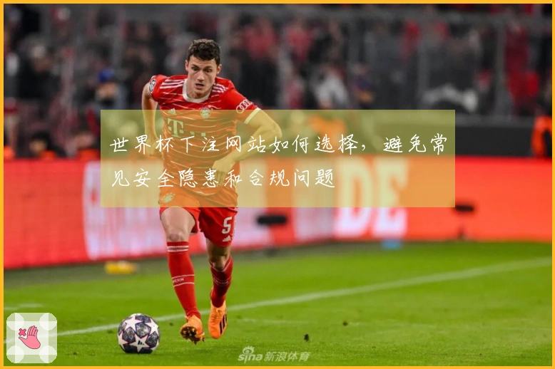 世界杯下注网站如何选择，避免常见安全隐患和合规问题