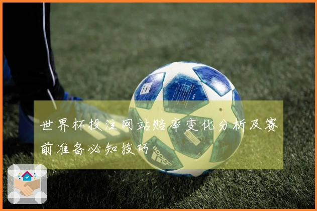 世界杯投注网站赔率变化分析及赛前准备必知技巧
