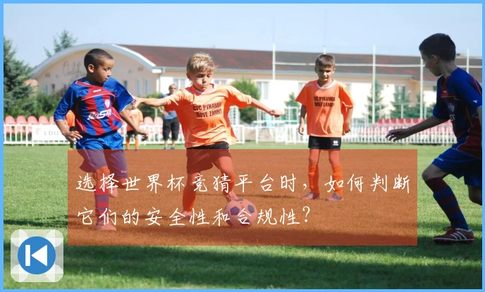 选择世界杯竞猜平台时，如何判断它们的安全性和合规性？