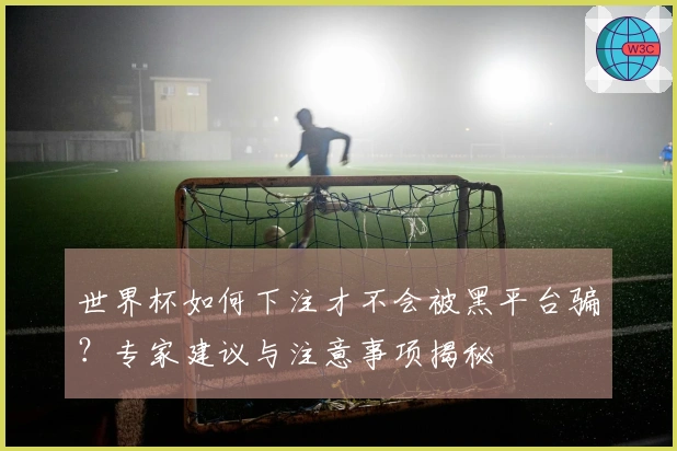 世界杯如何下注才不会被黑平台骗？专家建议与注意事项揭秘