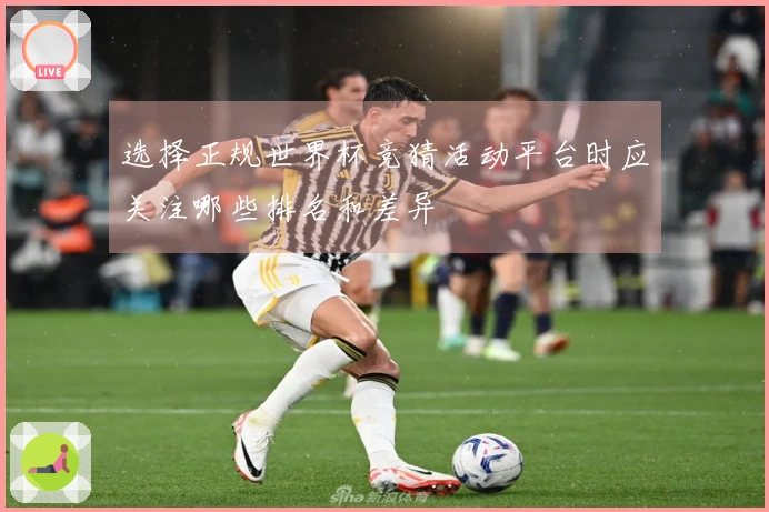 选择正规世界杯竞猜活动平台时应关注哪些排名和差异