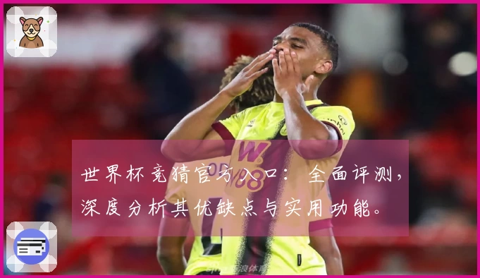 世界杯竞猜官方入口：全面评测，深度分析其优缺点与实用功能。