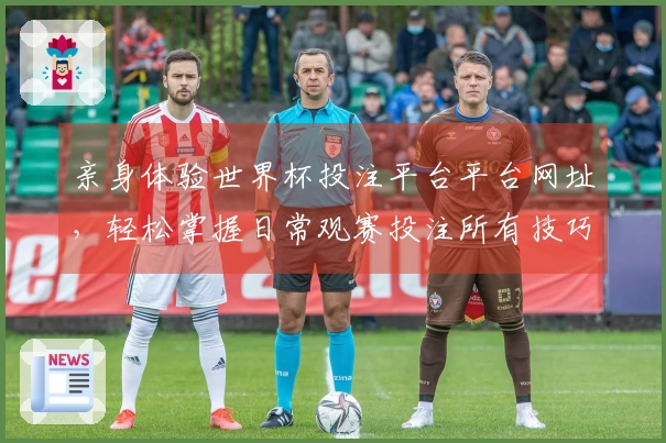亲身体验世界杯投注平台平台网址，轻松掌握日常观赛投注所有技巧