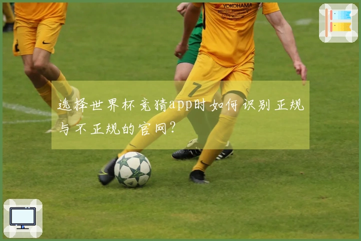 选择世界杯竞猜app时如何识别正规与不正规的官网？