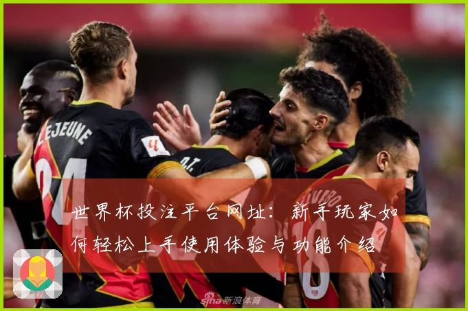 世界杯投注平台网址：新手玩家如何轻松上手使用体验与功能介绍