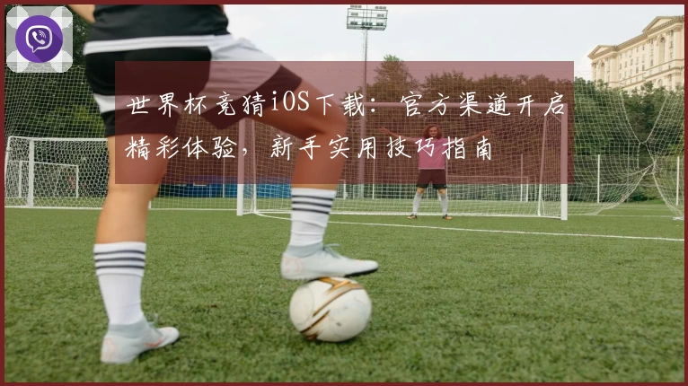 世界杯竞猜iOS下载：官方渠道开启精彩体验，新手实用技巧指南