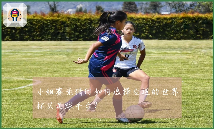 小组赛竞猜时如何选择合适的世界杯买足球平台？