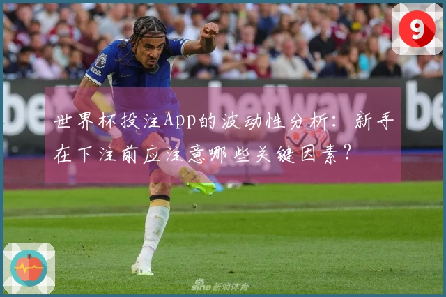 世界杯投注App的波动性分析：新手在下注前应注意哪些关键因素？