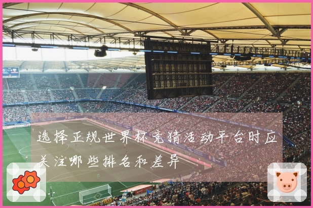 选择正规世界杯竞猜活动平台时应关注哪些排名和差异